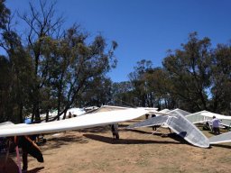 The Corryong Cup 2016