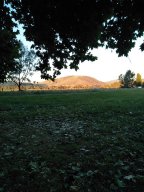 The Corryong Cup 2019